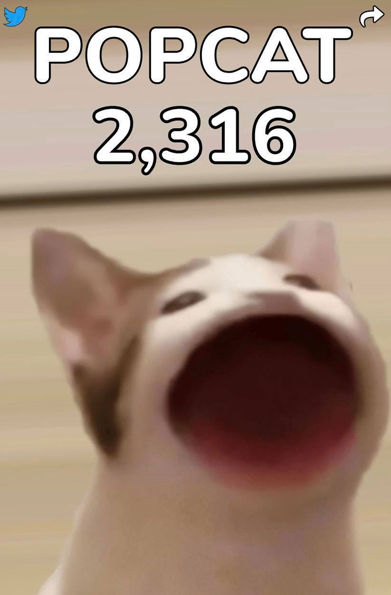 网友分享6个关于POPCAT的有趣冷知识！网友笑趴：工程师很顽皮！