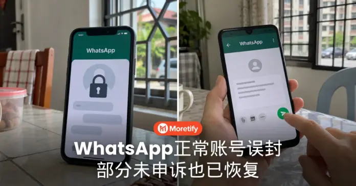 WhatsApp正常账号误封 部分未申诉也已恢复