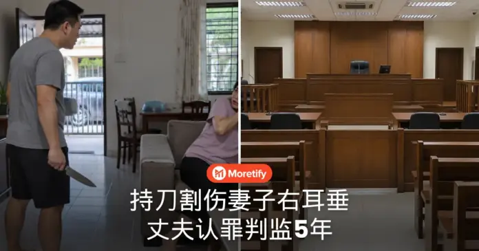 持刀割伤妻子右耳垂 丈夫认罪判监5年