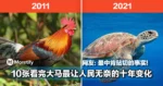 10张#10YearChallenge看完大马最让人民无奈的十年变化,网友:最中肯贴切的事实!
