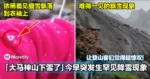 「 大马神山下雪了！」今早突发生难得一见的降雪现象！让登山客们觉得超惊叹！