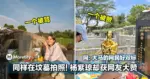同样在坟墓拍照!杨紫琼却获网友大赞!网:大马网民好双标
