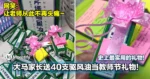 大马家长送40支驱风油当教师节礼物!网笑:让老师从此不再头痛~