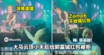 大马云顶小天后给郭富城红包被拒!网:很丢脸lo