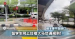 留学生吐槽大马交通规则!根本等不到绿灯...