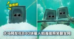太搞笑了!大马网友花RM840雇人在海底世界拍照,成品笑翻不少人...