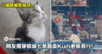 人在做天在看！小猫咪偷吃糕点，网友揭穿槟城七条路卖Kuih老板恶行！