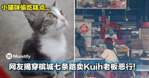 人在做天在看！小猫咪偷吃糕点，网友揭穿槟城七条路卖Kuih老板恶行！