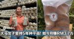 大马女子坚持5年种平菇，如今月赚RM3.7万！