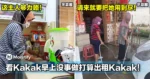 这主人够力咯！大马雇主看Kakak早上没事做打算出租Kakak！