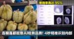 现在连榴莲都能靠AI检测品质！4秒精准识别成熟度、出肉率！