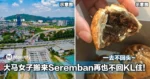 大马女子搬来Seremban再也不回KL住！网表示这里吃的比吉隆坡还要贵！