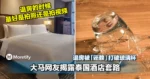 被坑了？！大马网友揭露泰国酒店套路，退房竟被「诬赖」打破玻璃杯！
