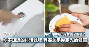 每次冲水后，污水到底去了哪里？你不知道的排污过程，其实关乎你家人的健康！