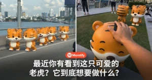 最近你有没有看到这只可爱的老虎？它到底想要做什么？