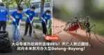大马骨痛热症病例激增66%!死亡人数近翻倍,政府未来数月办大型Gotong-Royong!