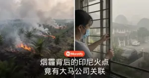 烟霾背后的印尼火点 竟有大马公司关联