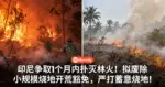 印尼争取1个月内扑灭林火!拟废除小规模烧地开荒豁免,严打蓄意烧地!