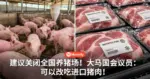 建议关闭全国养猪场!大马国会议员:可以改吃进口猪肉!