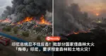 印尼总统忍不住反击!批部分国家借森林大火「侮辱」印尼,要求彻查森林和土地火灾!